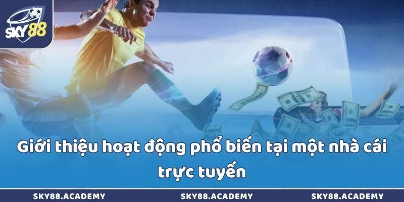 Giới thiệu hoạt động phổ biến tại một nhà cái trực tuyến