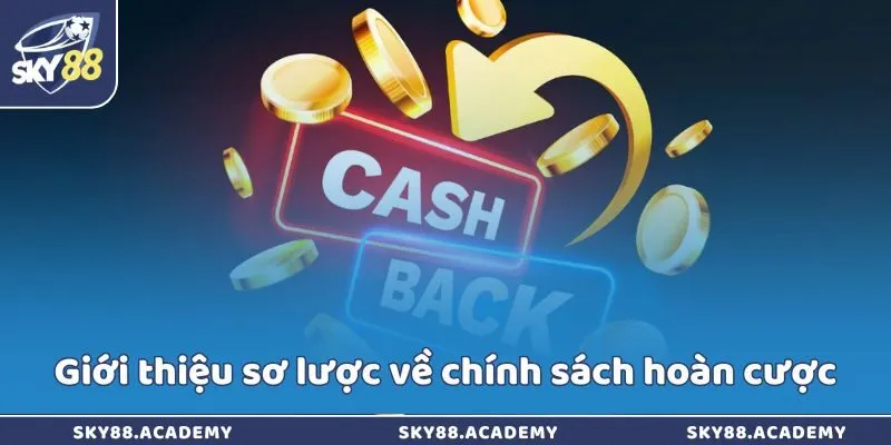 Chính Sách Hoàn Cược Sky88 – Ưu Đãi Hoàn Trả Hấp Dẫn Giới thiệu sơ lược về chính sách hoàn cược