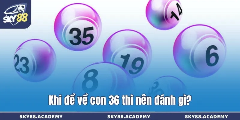 Giải mã đề về 36 nên đánh con gì cho ngày hôm sau Khi đề về con 36 thì nên đánh gì?